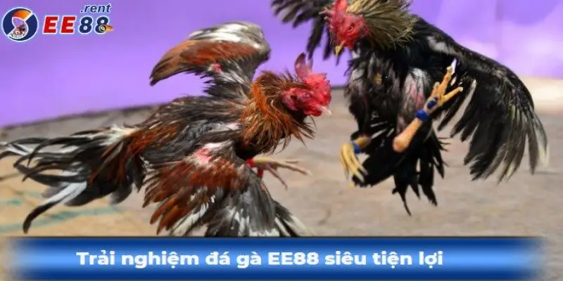 Trai-nghiem-da-ga-ee88-vo-cung-tien-loi-va-chat-luong